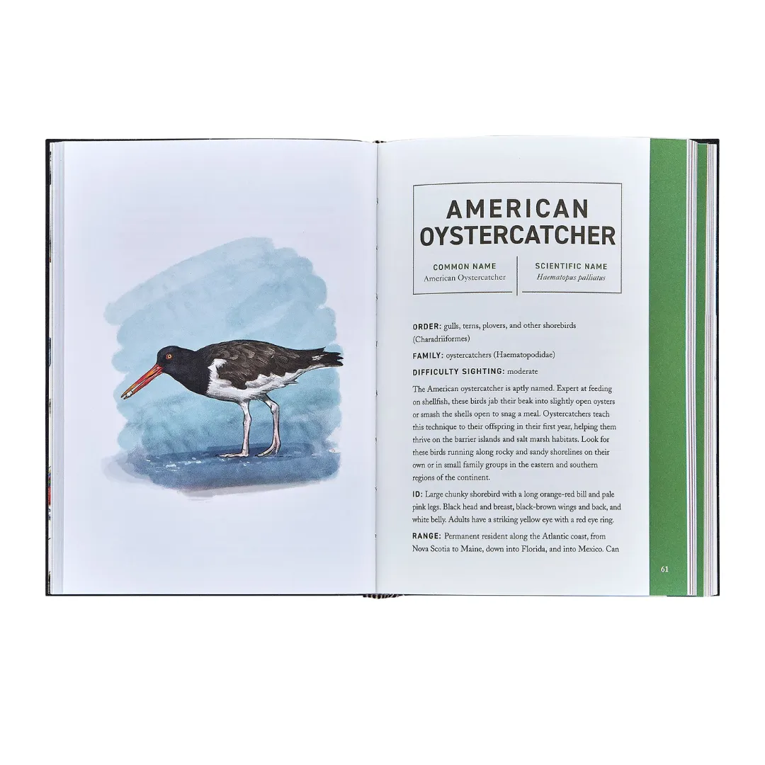 Birds: An Illustrated Field