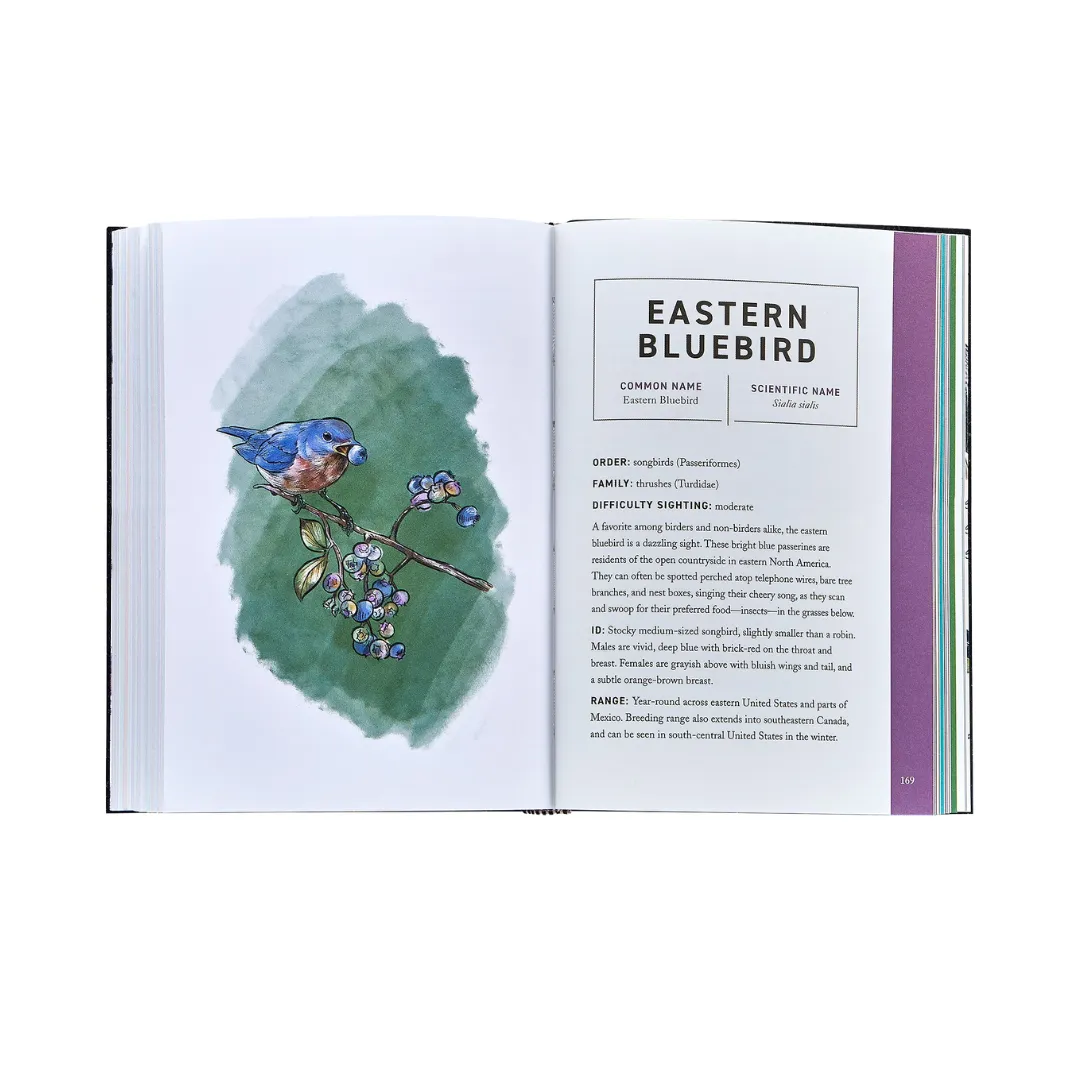 Birds: An Illustrated Field